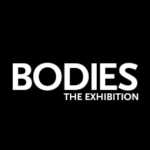 Bodies...The Exhibition