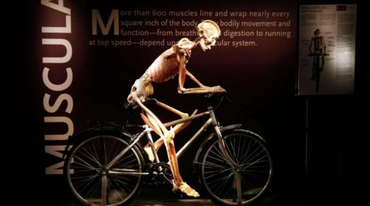 Bodies...The Exhibition